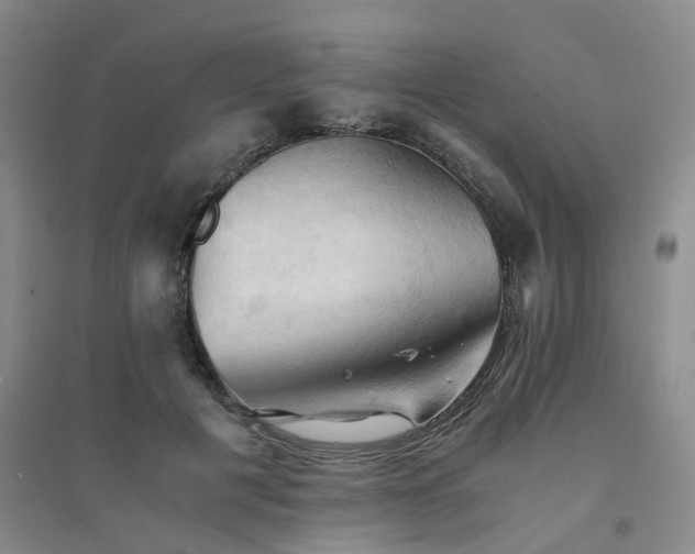 X0000094450601200711151429