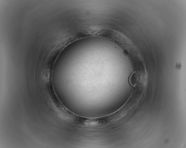 X0000094450602200711151429