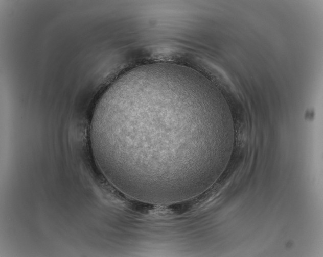 X0000094450603200711151429