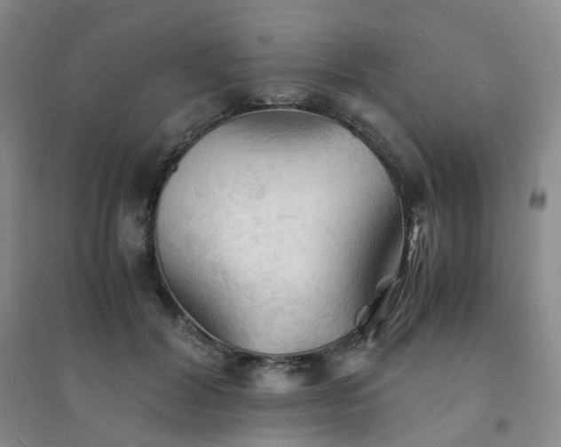 X0000094450604200711151429