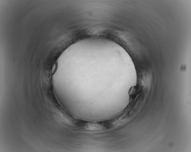X0000094450605200711151429