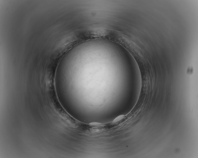 X0000094450608200711151429