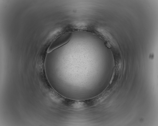 X0000094450609200711151429