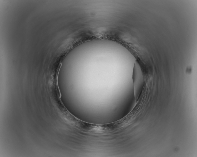 X0000094450611200711151429