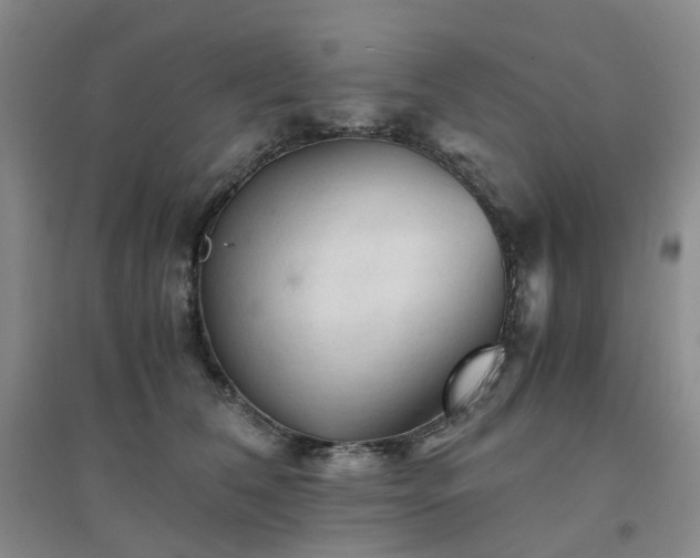 X0000094450612200711151429