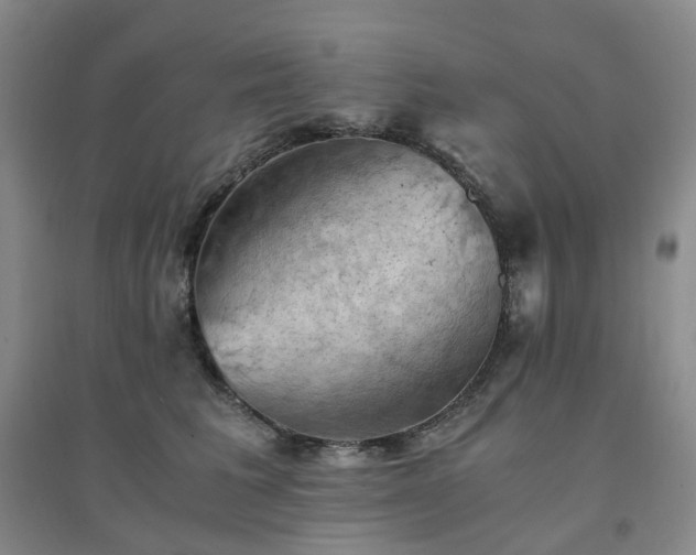 X0000094450613200711151429