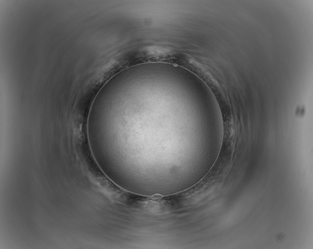 X0000094450615200711151429
