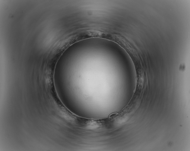 X0000094450616200711151429