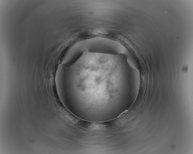 X0000094450617200711151429