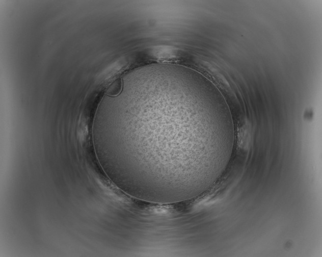 X0000094450618200711151429