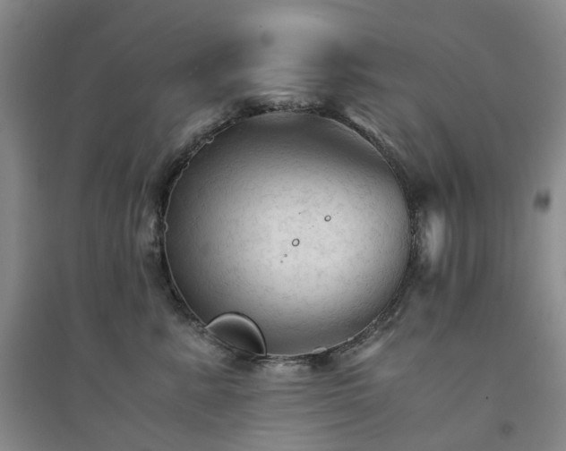 X0000094450619200711151429