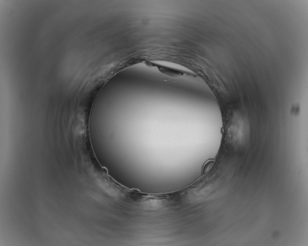 X0000094450620200711151429