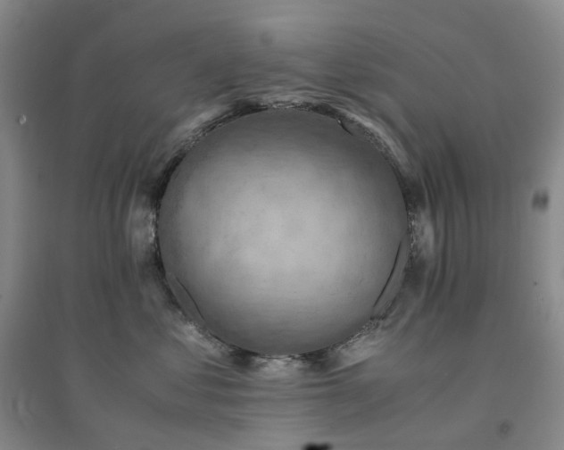X0000094450621200711151429