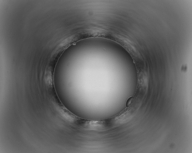 X0000094450622200711151429