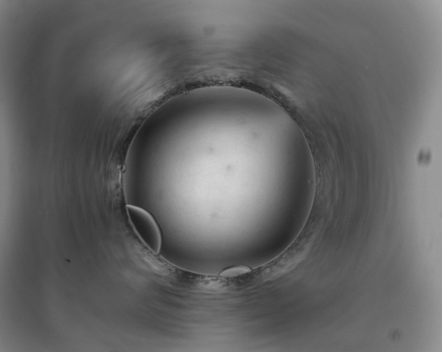 X0000094450624200711151429