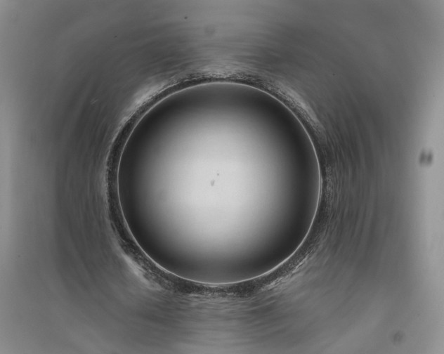 X0000094450626200711151428
