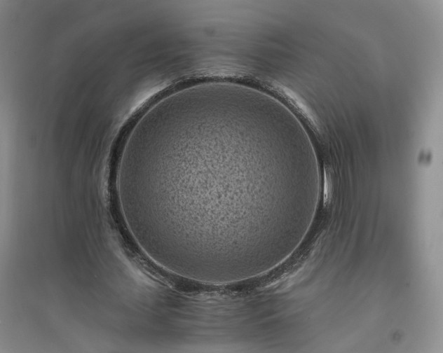 X0000094450627200711151428