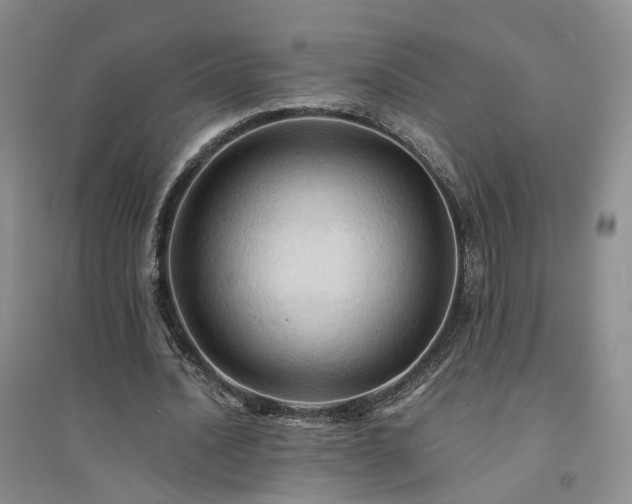 X0000094450628200711151428