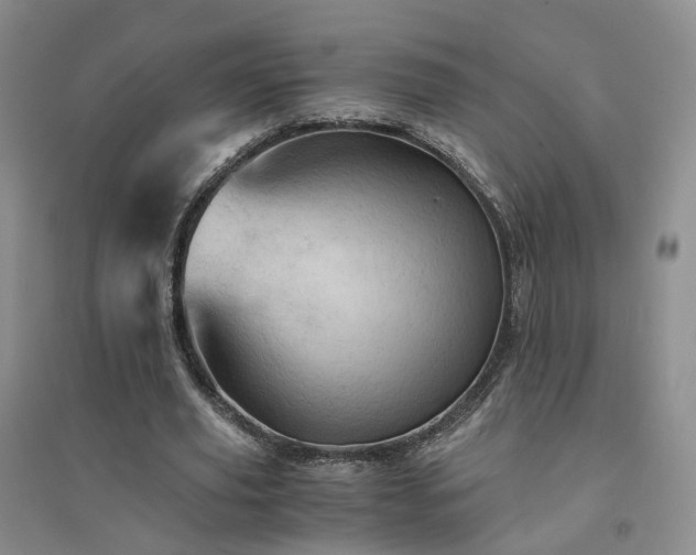 X0000094450629200711151428