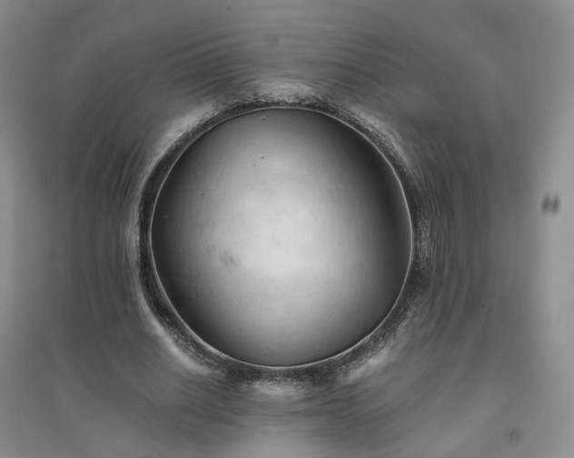 X0000094450630200711151428