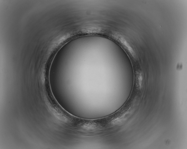 X0000094450631200711151428