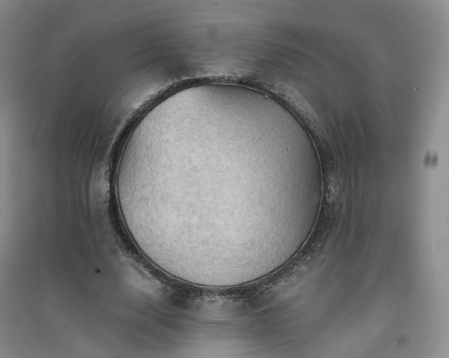 X0000094450632200711151428