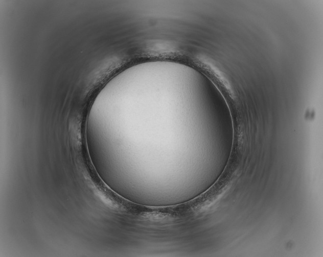 X0000094450633200711151428