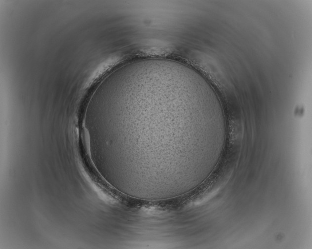 X0000094450634200711151428