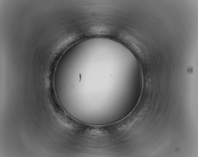 X0000094450635200711151428