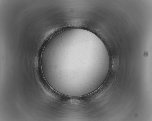 X0000094450636200711151428