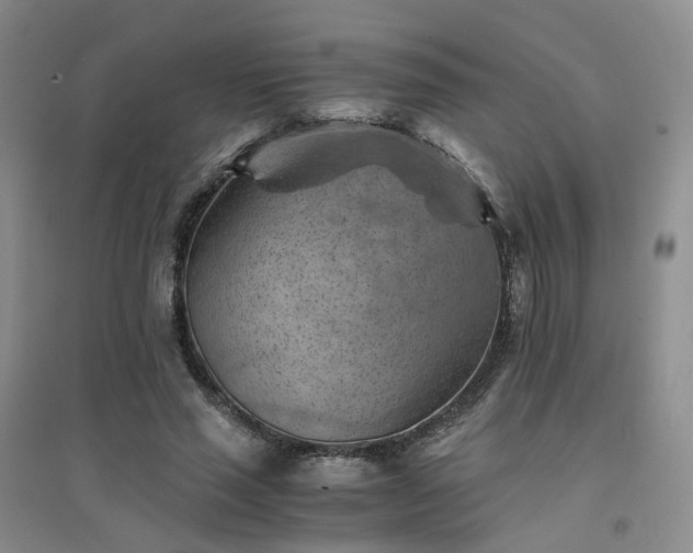X0000094450637200711151428