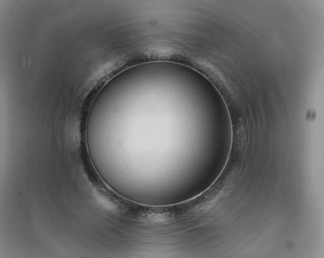 X0000094450638200711151428
