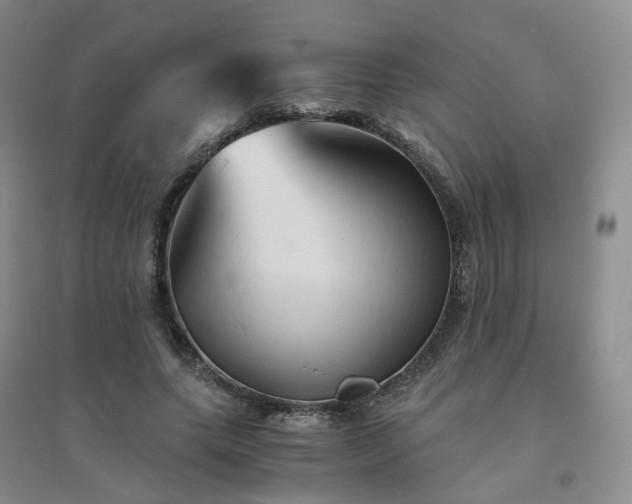 X0000094450639200711151428