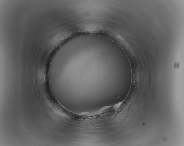 X0000094450640200711151428