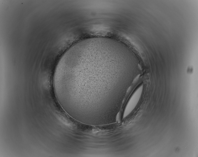 X0000094450641200711151428