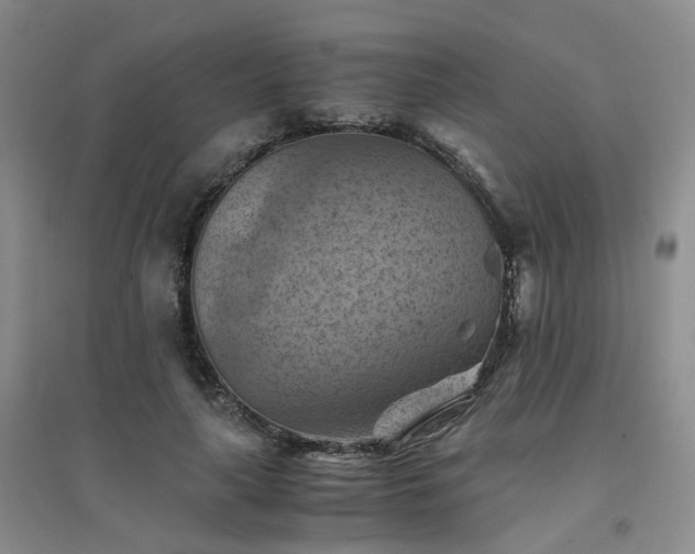 X0000094450643200711151428