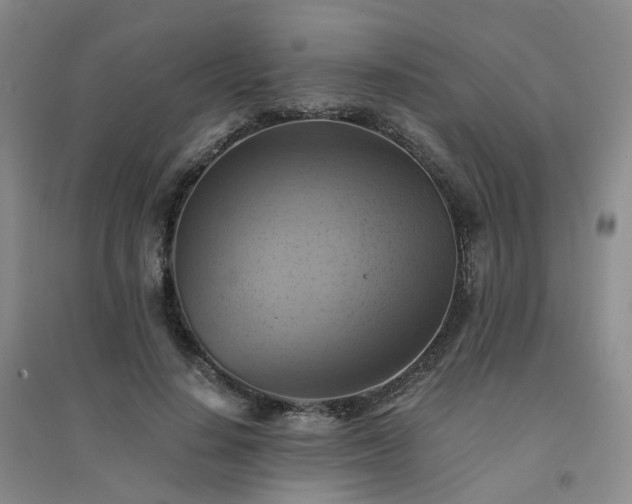 X0000094450644200711151428