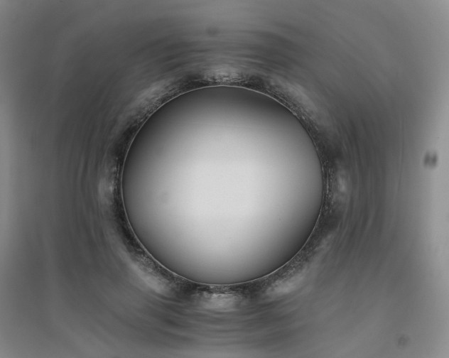 X0000094450645200711151428