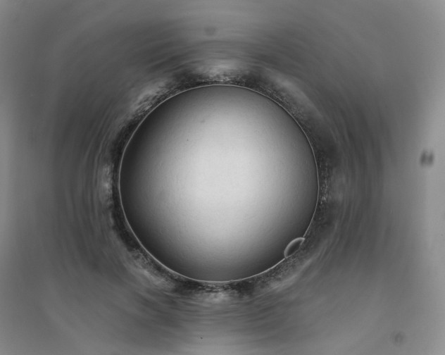 X0000094450646200711151428