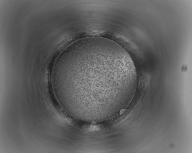 X0000094450647200711151428