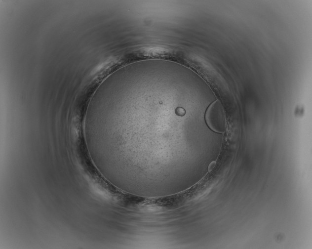 X0000094450648200711151428
