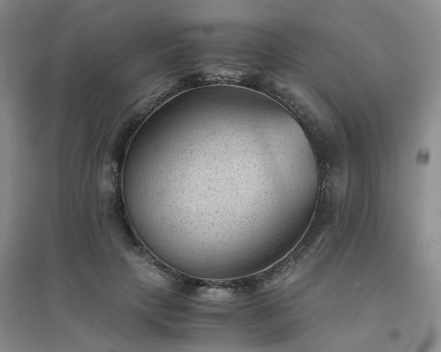 X0000094450649200711151428