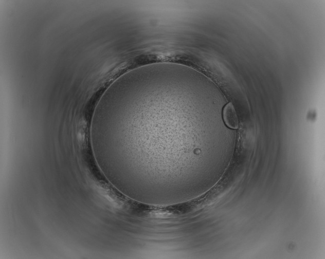 X0000094450650200711151428