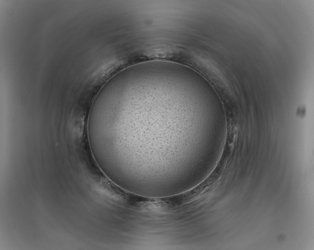 X0000094450652200711151428