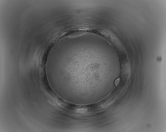 X0000094450653200711151428