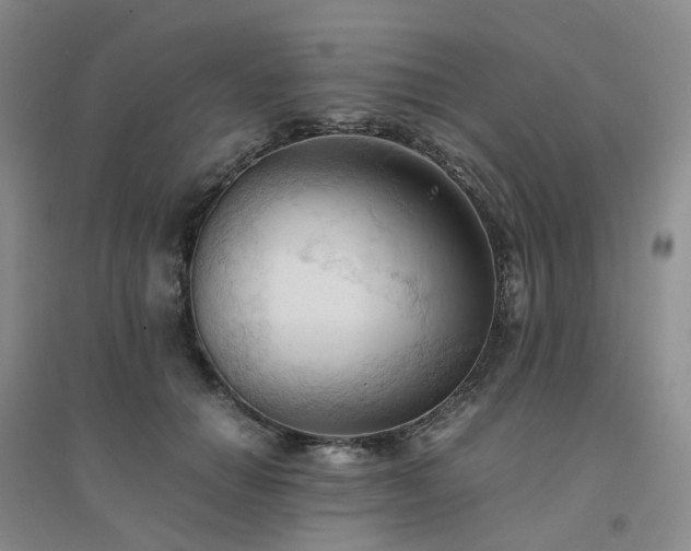 X0000094450654200711151428