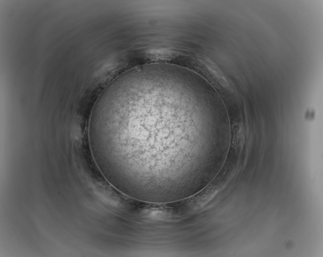 X0000094450655200711151428