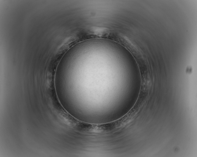 X0000094450656200711151428