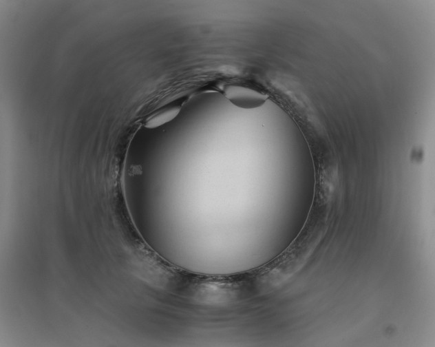 X0000094450657200711151428
