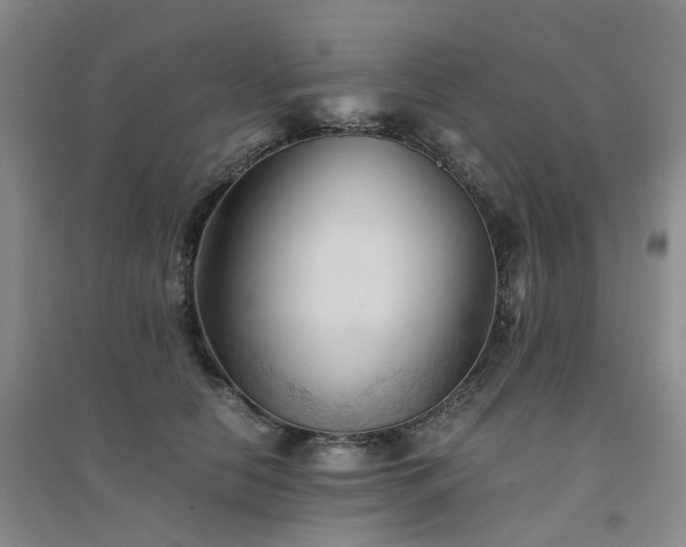 X0000094450658200711151428
